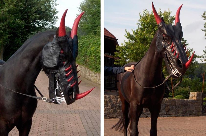 Photo: Terrified of the horse-dragon, or just terrified on behalf of the horse? Dragon horse mask via http://j.mp/Ou6iB2