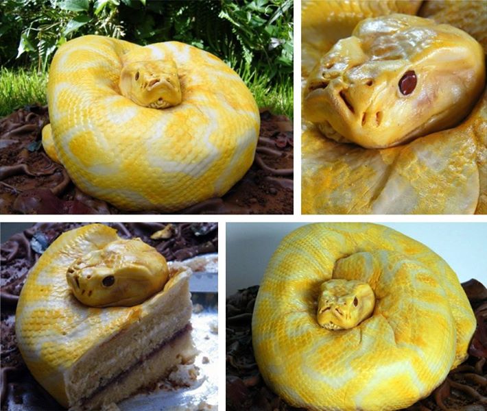 Photo: This is not a snake. It's actually a *cake.* Aaaand that was your mind being blown. By North Star Cakes and via http://j.mp/MICsXb